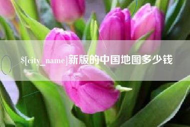 平凉新版的中国地图多少钱