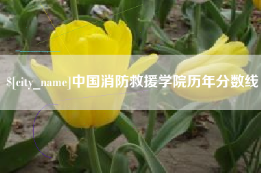 平凉中国消防救援学院历年分数线