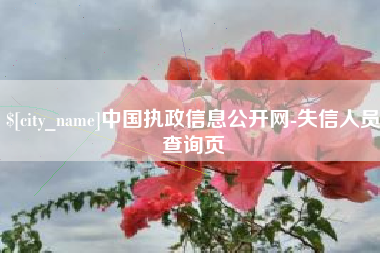 平凉中国执政信息公开网-失信人员查询页