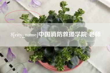 平凉中国消防救援学院 老师