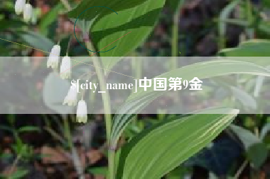 平凉中国第9金