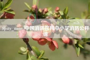 平凉中国消防官网中小学消防公开课