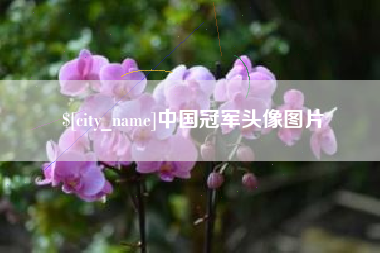 平凉中国冠军头像图片
