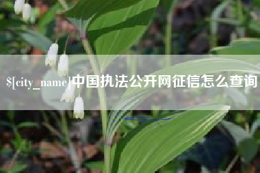 平凉中国执法公开网征信怎么查询