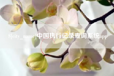 平凉中国执行记录查询系统app