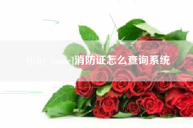 平凉消防证怎么查询系统