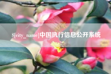 平凉中国执行信息公开系统