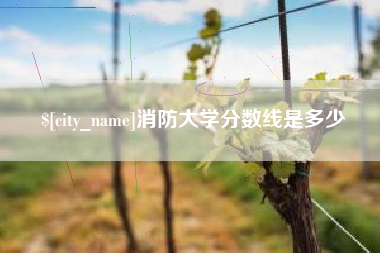 平凉消防大学分数线是多少