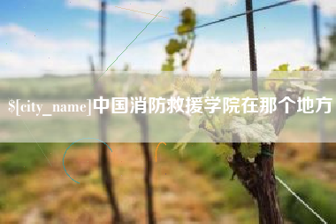 平凉中国消防救援学院在那个地方