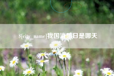 平凉我国消防日是哪天