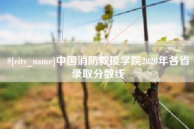 平凉中国消防救援学院2020年各省录取分数线