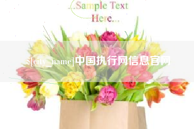 平凉中国执行网信息官网
