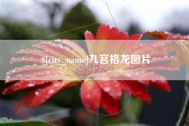 平凉九宫格龙图片