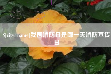 平凉我国消防日是哪一天消防宣传日