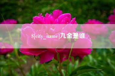 平凉九金是谁