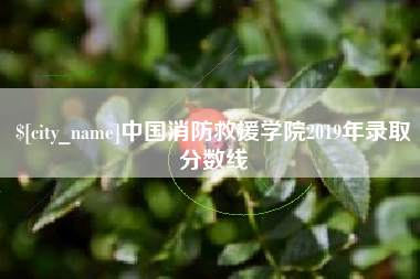 平凉中国消防救援学院2019年录取分数线