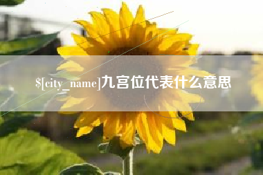 平凉九宫位代表什么意思