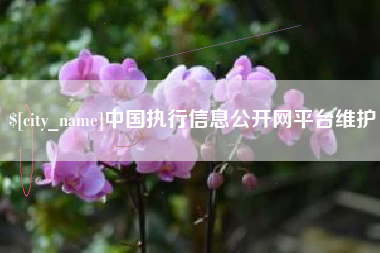 平凉中国执行信息公开网平台维护