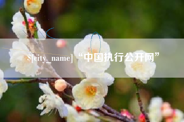平凉“中国执行公开网”