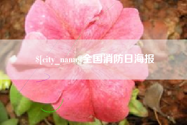 平凉全国消防日海报