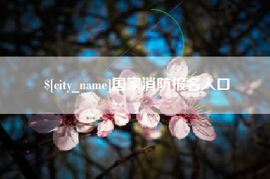 平凉国家消防报名入口