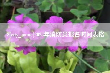 平凉2025年消防员报名时间表格