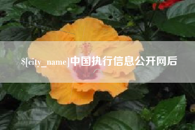平凉中国执行信息公开网后