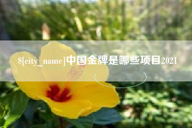 平凉中国金牌是哪些项目2021