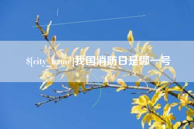 平凉我国消防日是哪一号