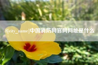 平凉中国消防网官网网址是什么