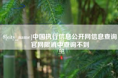 平凉中国执行信息公开网信息查询官网限消中查询不到