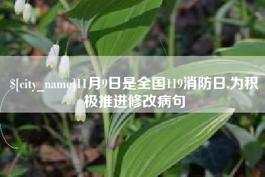 平凉11月9日是全国119消防日,为积极推进修改病句