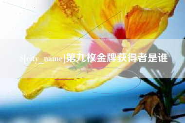 平凉第九枚金牌获得者是谁