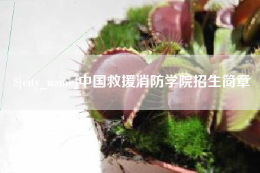平凉中国救援消防学院招生简章