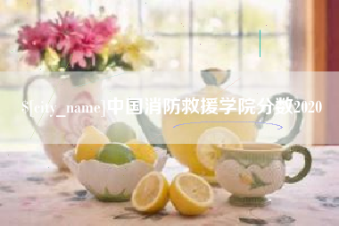 平凉中国消防救援学院分数2020
