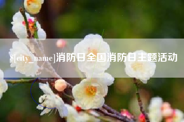 平凉消防日全国消防日主题活动