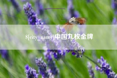 平凉中国九枚金牌