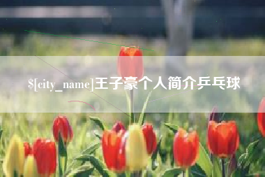 平凉王子豪个人简介乒乓球