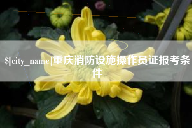 平凉重庆消防设施操作员证报考条件