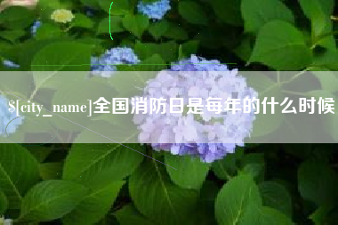 平凉全国消防日是每年的什么时候