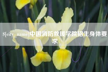 平凉中国消防救援学院招生身体要求