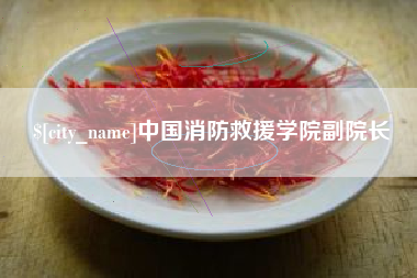 平凉中国消防救援学院副院长