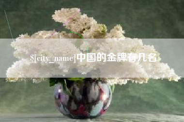 平凉中国的金牌有几名