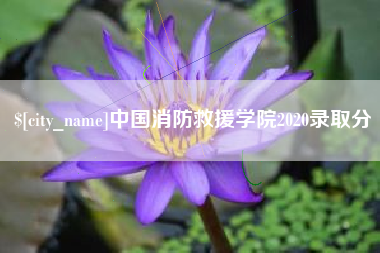平凉中国消防救援学院2020录取分