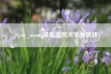 平凉河南消防大学分数线