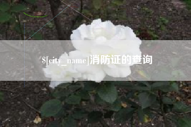 平凉消防证的查询