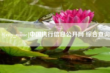 平凉中国执行信息公开网 综合查询