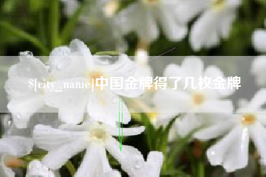 平凉中国金牌得了几枚金牌