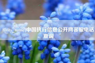 平凉中国执行信息公开网客服电话查询