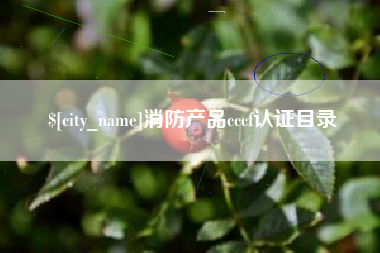 平凉消防产品cccf认证目录